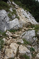 benediktenwand-025.jpg