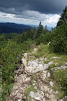 benediktenwand-034.jpg