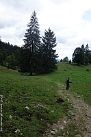 benediktenwand-039.jpg