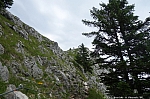 bruennstein-013.jpg