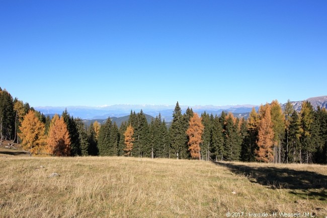 labyrinthsteig-008.jpg