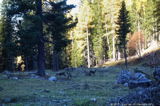 labyrinthsteig-012.jpg