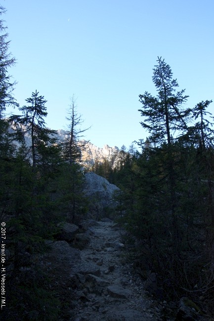 labyrinthsteig-020.jpg