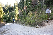 labyrinthsteig-031.jpg