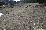 monte-tofino-058.jpg