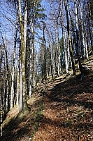 rabenkopf-014.jpg