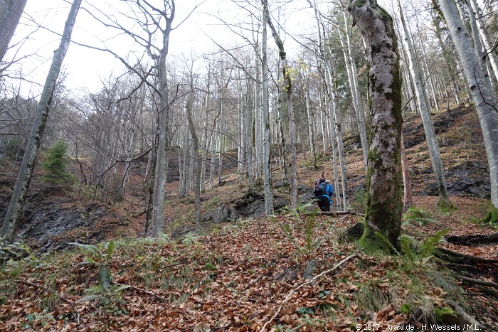 sonntagshorn-018.jpg
