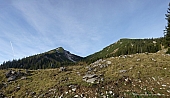 sonntagshorn-046.jpg