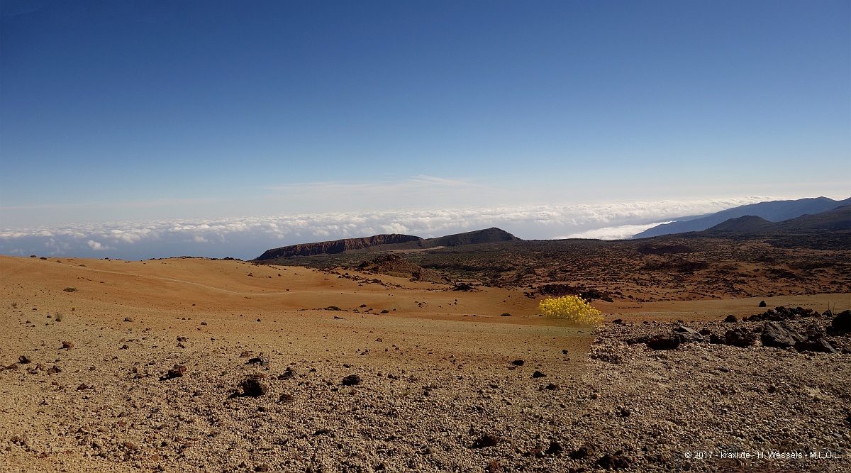 teide-004.jpg