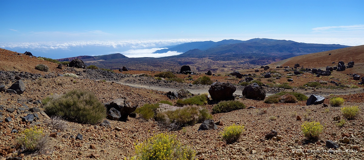 teide-009.jpg