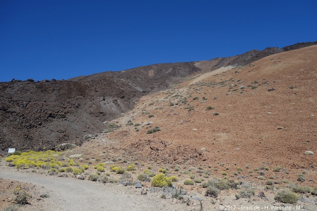 teide-012.jpg