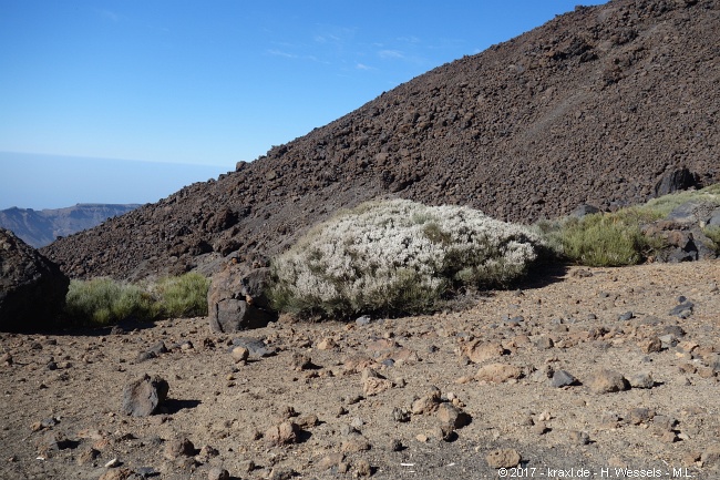 teide-053.jpg