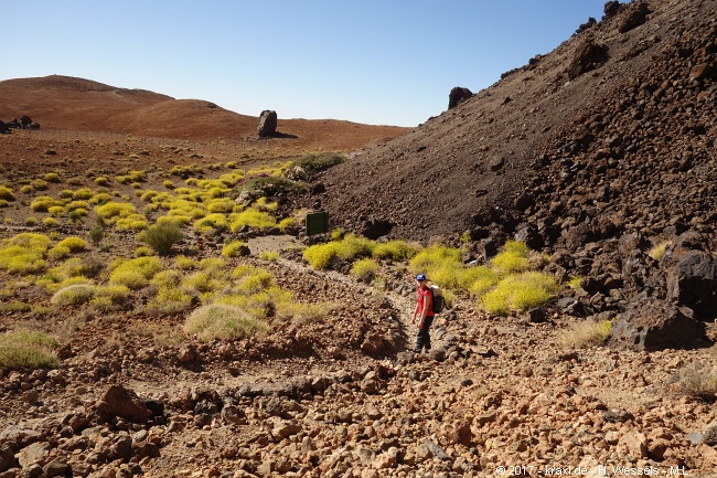 teide-055.jpg