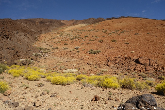 teide-056.jpg