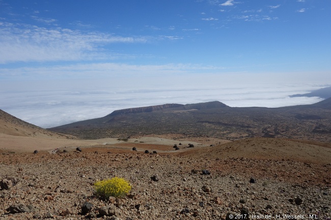 teide-057.jpg