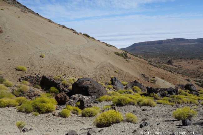 teide-059.jpg