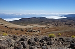 teide-011.jpg