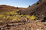 teide-055.jpg