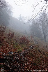 brecherspitze-ostgrat-004.jpg