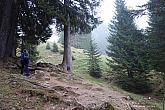 dalfazer-wand-hochiss-010.jpg