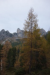 dalfazer-wand-hochiss-020.jpg