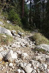 dalfazer-wand-hochiss-051.jpg