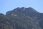 pertisau-gaisalm-achenkirch-032.jpg