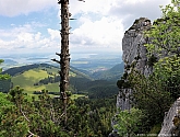 gedererwand-020.jpg