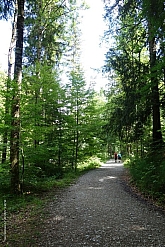 herzogstand-heimgarten-043.jpg