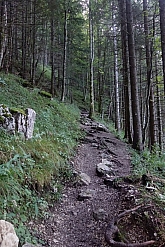 taubenstein-rotwand-hochmiesing-005.jpg