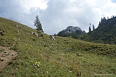 taubenstein-rotwand-hochmiesing-048.jpg