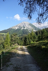 hochwanner-009.jpg