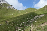 hochwanner-025.jpg