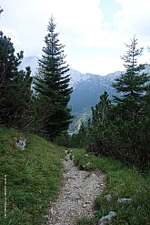 hochwanner-069.jpg