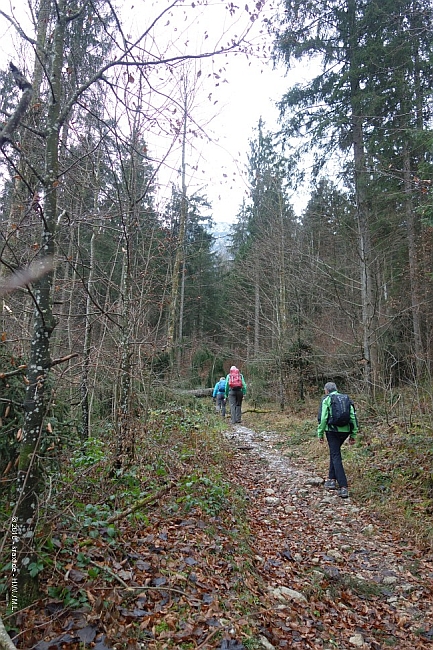 kienberg-003.jpg
