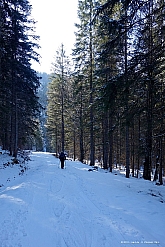 kotalmjoch-002.jpg