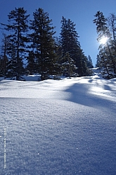 kotalmjoch-015.jpg