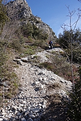 monte-palaer-010.jpg