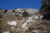 monte-palaer-014.jpg