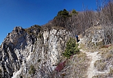 monte-palaer-025.jpg