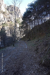 monte-palaer-059.jpg