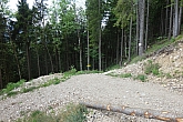 ochsen-auer-spitzkamp-038.jpg