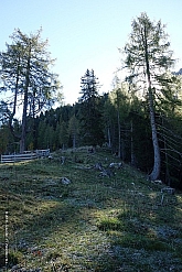 poppekanzel-signalkopf-007.jpg