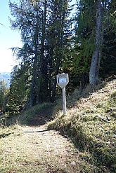 poppekanzel-signalkopf-041.jpg