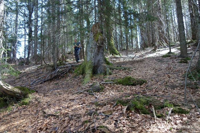 risser-hochkopf-016.jpg