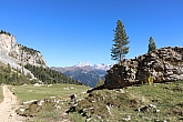 rosengarten-025.jpg