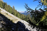 rosengarten-029.jpg