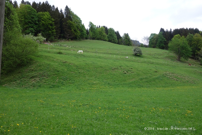 spitzstein-001.jpg