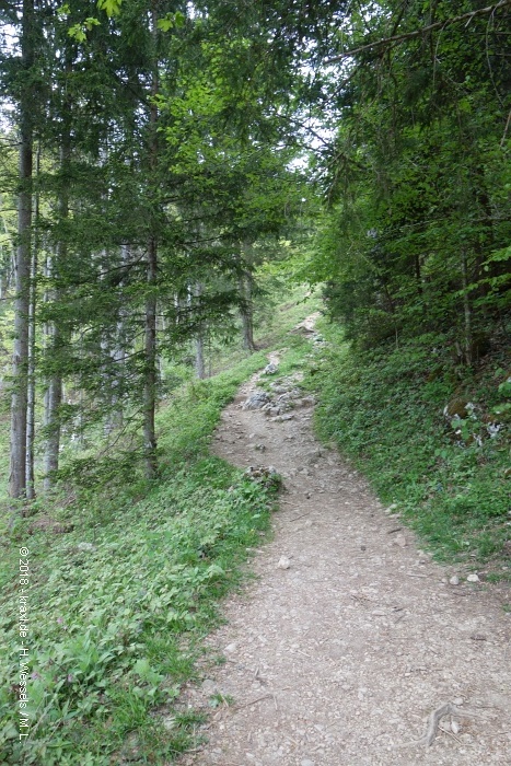 spitzstein-005.jpg