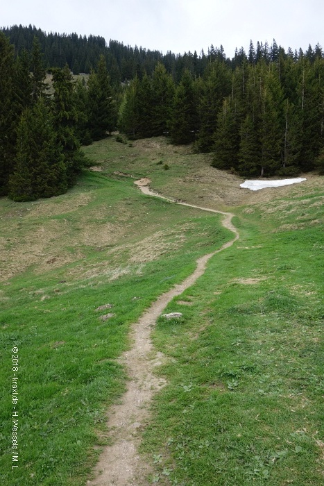 spitzstein-014.jpg